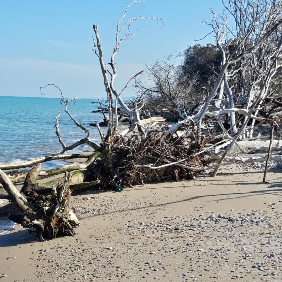 Вилла In Collina Sul Mare... Монтенеро-ди-Бизачча Экстерьер фото