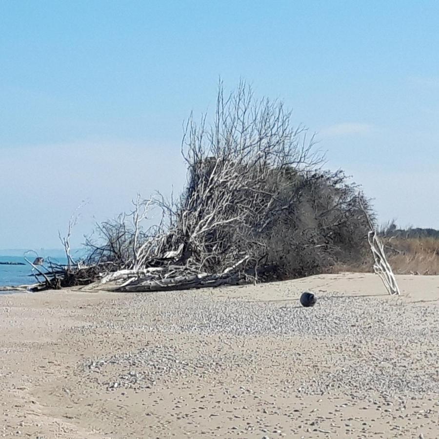 Вилла In Collina Sul Mare... Монтенеро-ди-Бизачча Экстерьер фото