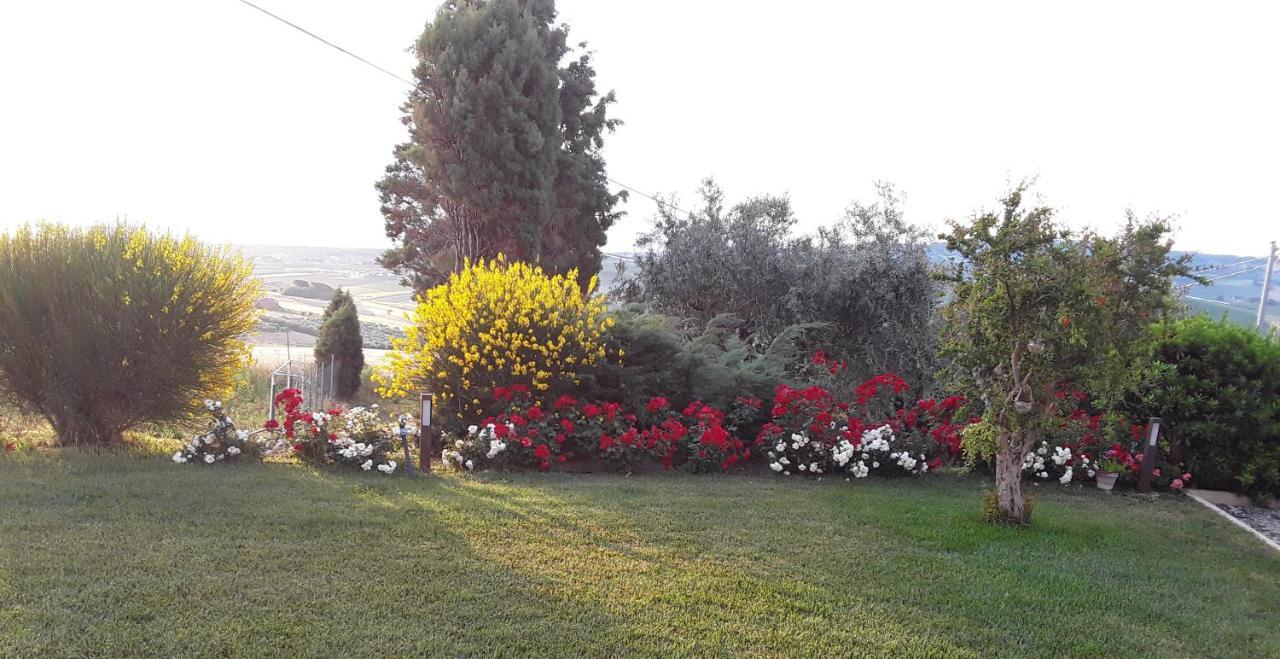 Вилла In Collina Sul Mare... Монтенеро-ди-Бизачча Экстерьер фото