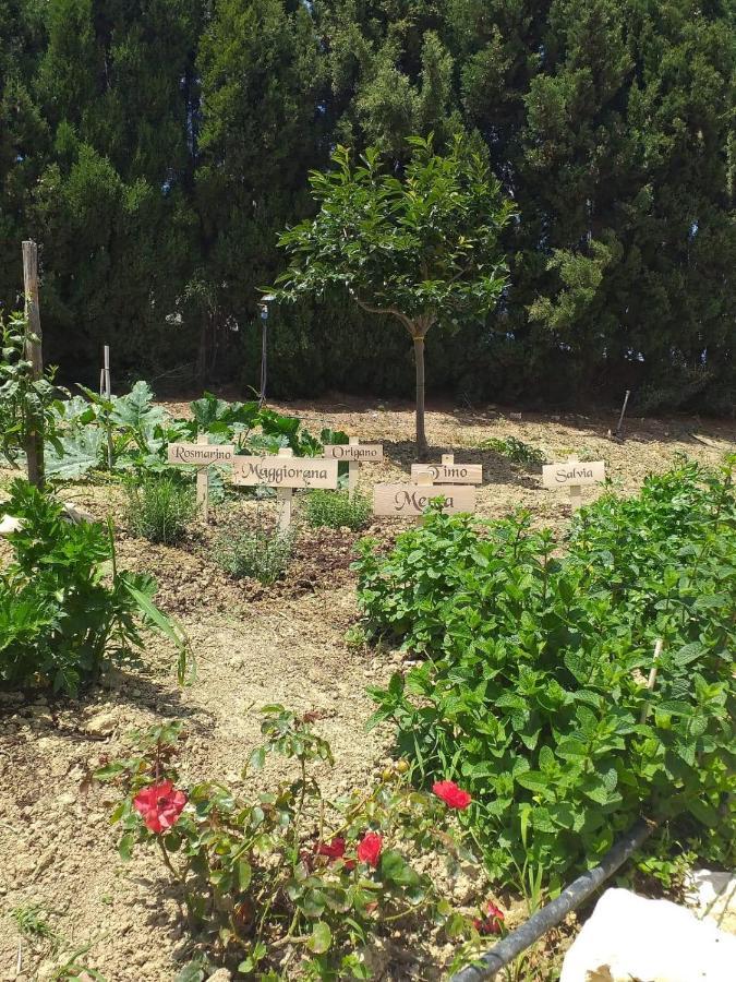 Вилла In Collina Sul Mare... Монтенеро-ди-Бизачча Экстерьер фото