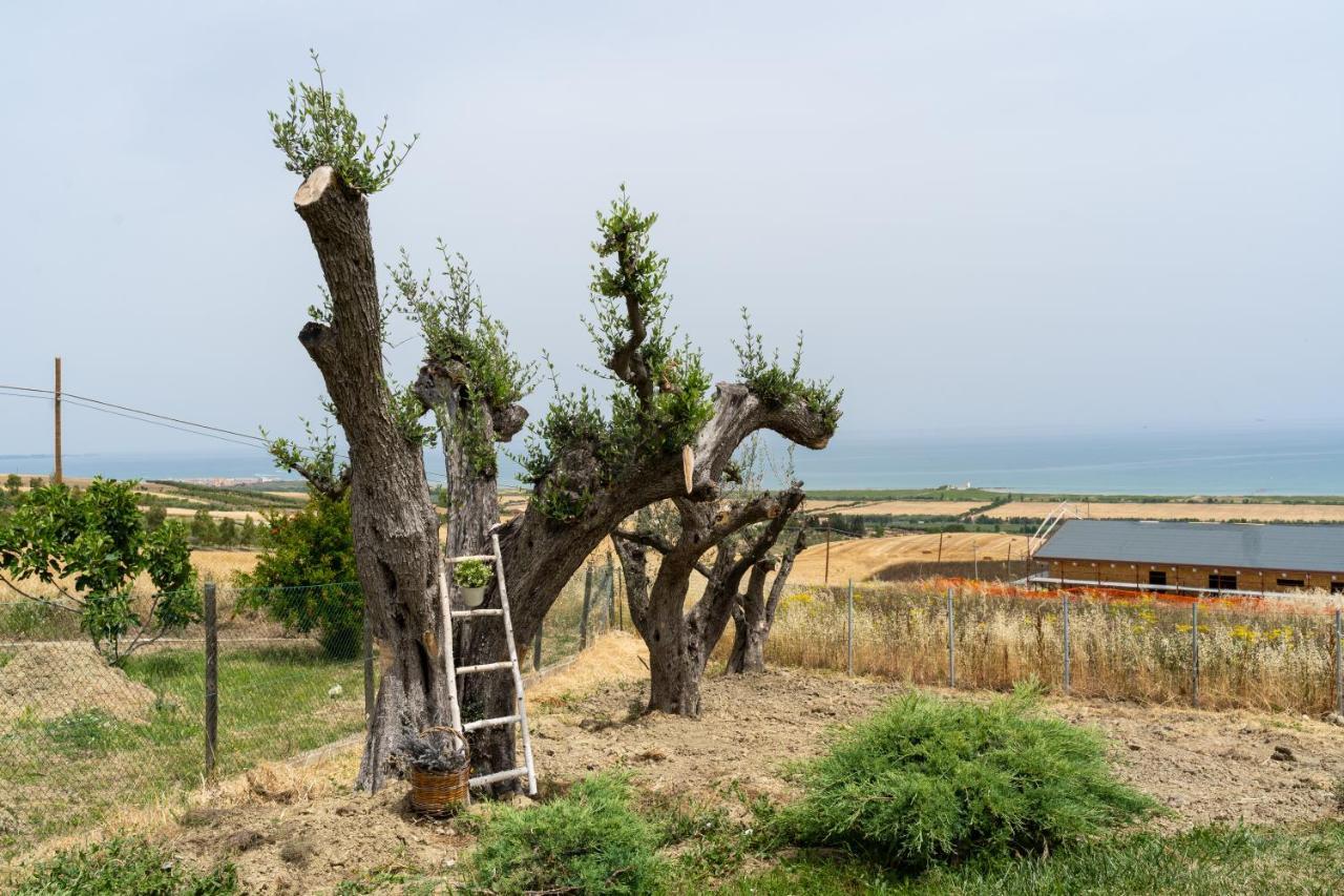 Вилла In Collina Sul Mare... Монтенеро-ди-Бизачча Экстерьер фото
