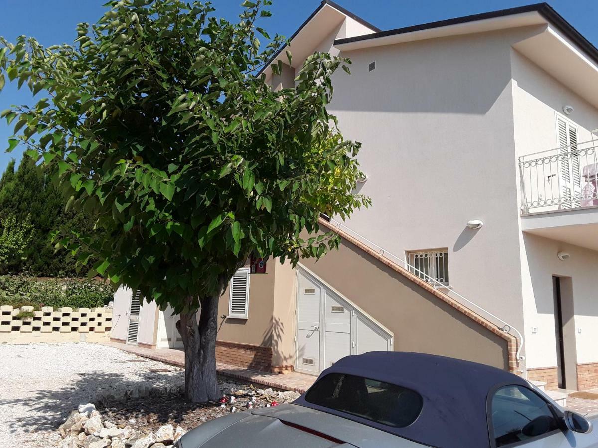 Вилла In Collina Sul Mare... Монтенеро-ди-Бизачча Экстерьер фото